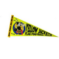 Full Color Small Felt Pennant